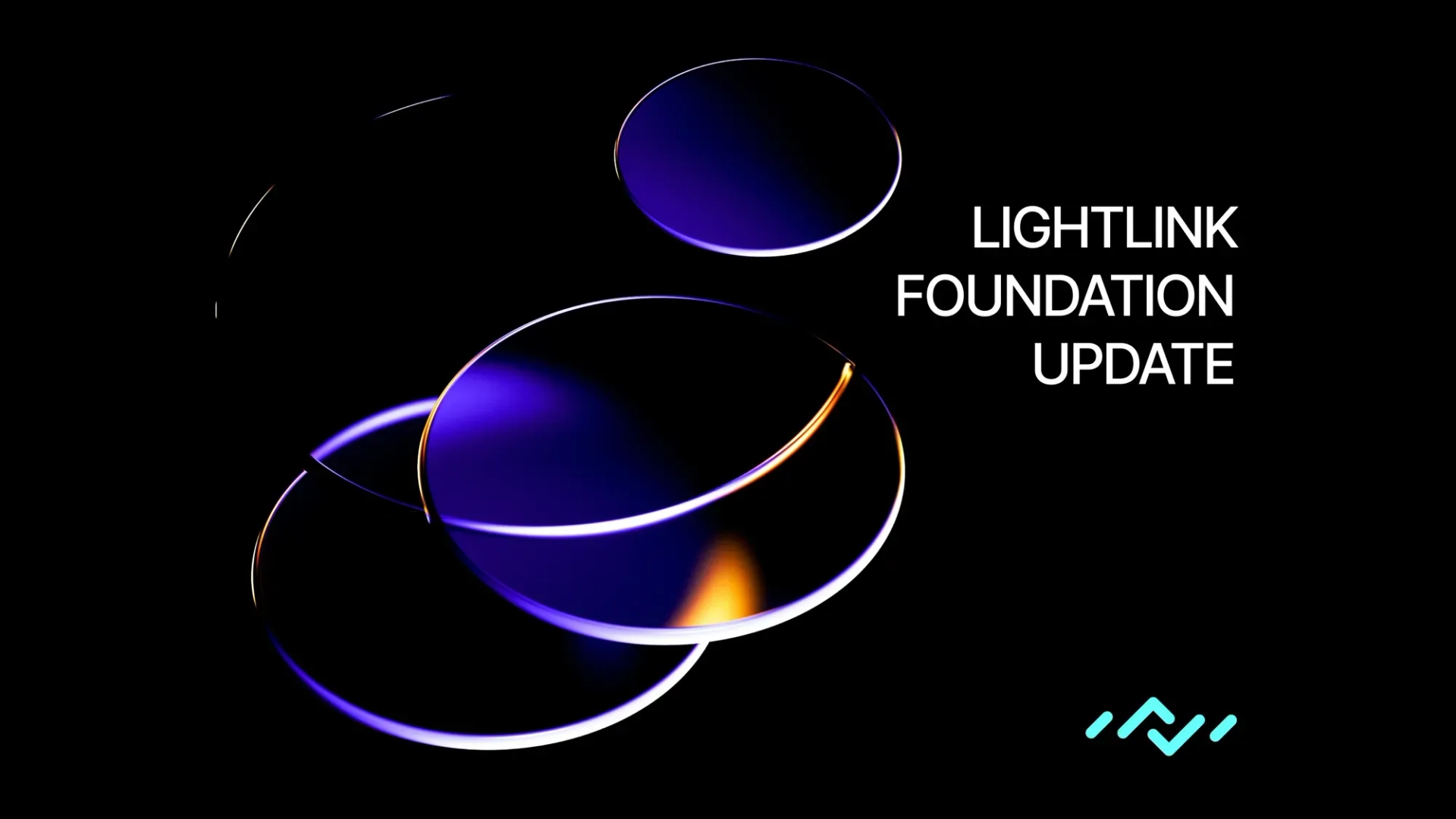 LightLink Foundation's Vision