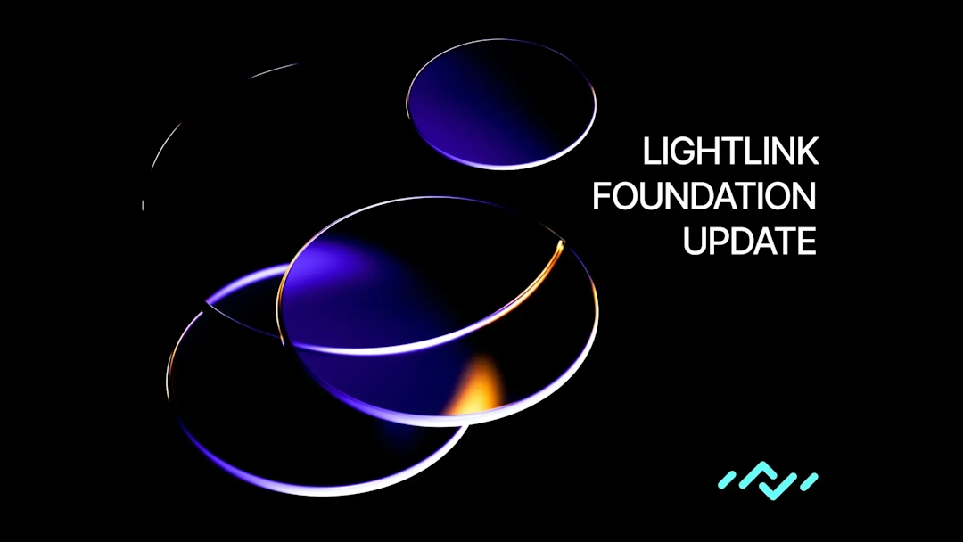 LightLink Foundation's Vision